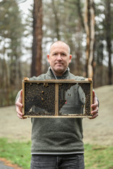 A male beekeeper farmer holds a box of new spring honeybees ready to start a new beehive.