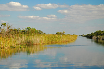 Miles of waterways flow through the Everglades National Park