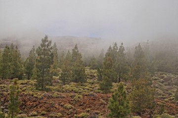 calm mountain landscape around Teide on the Spanish Canary Island Tenerife