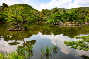 Japanese ornamental garden  with Japanese white pines and lake near Kinkakuji Temple (kinkaku-ji) in Kyoto, Japan.