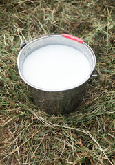 Metal bucket with fresh milk