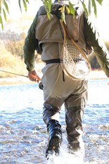 Action shot of man in waders with fly fishing rod walking away from camera into New Zealand river