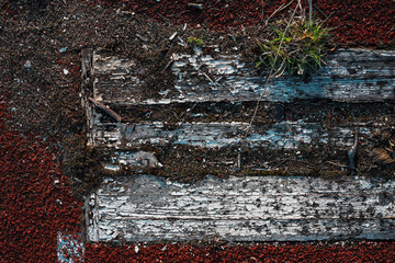 old wood texture