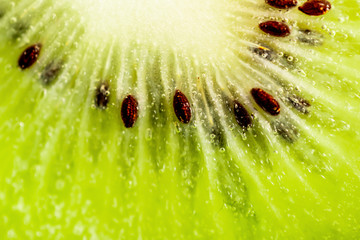 Kiwi Fruit Slice. Macro seeds. Fresh Green Kiwi slice.