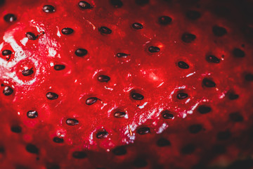 Fresh strawberries. Macro Close-up ripe fresh tasty organic strawberry background. Fresh red berry wallpaper. 