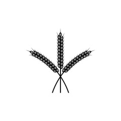 Organic barley spike vector illustration