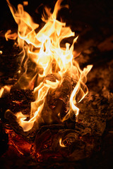 burning fire on a black background