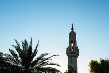 Minaret of mosque and silhouette of date palm on blue sky background in sunny day, copy space.