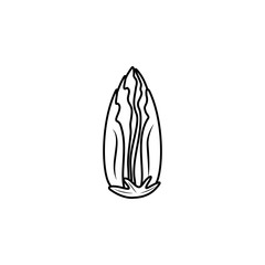 Chicory plant vector icon illustration