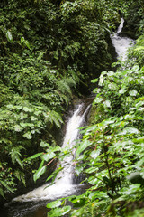 Obraz premium Waterfall in the middle of a rainforest in Costa Rica