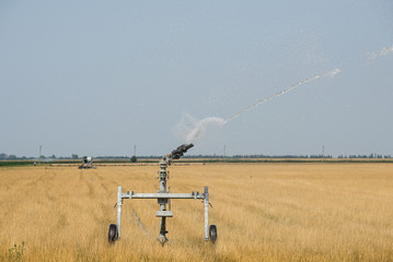 Irrigation system working on a field