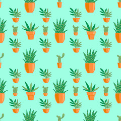 Seamless pattern with indoor plants. Vector image of a cactus, aloe, intensity, zamioculcus.