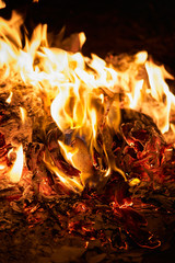 burning fire in the fireplace