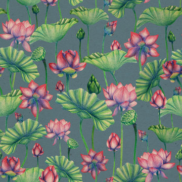 Seamless pattern withpencil lotus flowers. Indian water lily pattern. Summer floral endless background. Botanical illustration. Use it for fabrics, textile, postcard, website design, wallpaper. © Яніна Бондар