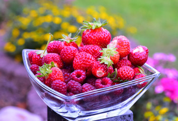 Erdbeere und Himbeere als Nachtisch Dessert in der Dessertschale im Garten