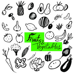 Collection of vector hand-drawn fruits and vegetables in vector. The set contains such main fruits as: cherry, olives, pineapple, coconut, coffee bean, avocado, banana, lemon, strawberry and others.