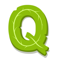 Letter Q, green leaves summer vector alphabet. The simple logo of letter Q green color. Isolated illustration on white background.