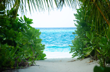 ocean in a green frame