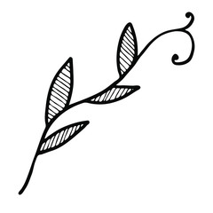 Decorative simple twig with leaves. Leaflets filled with lines. Beautiful plant for cards, congratulations and wedding invitations. Also, a flower is suitable for illustrating a book about animals.