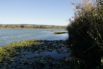 Lake, Breitungen Lake, Nature reserve, Breitungen, Thueringen, Germany, Europe