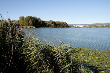 Lake, Breitungen Lake, Nature reserve, Breitungen, Thueringen, Germany, Europe