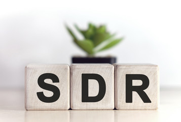 SDR text on a background on wooden cubes with a flower pot