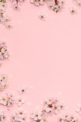 Fototapeta na wymiar Framework from spring cherry blossoms on pastel pink background. Flat lay. Copy space. Top view