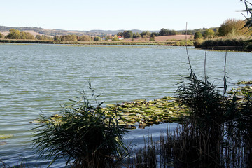 Lake, Breitungen Lake, Nature reserve, Breitungen, Thueringen, Germany, Europe