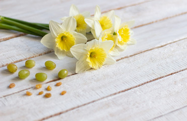 Fototapeta na wymiar Yellow daffodils, raisins, grape on white wooden background