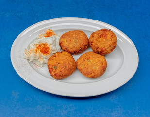 delicious minched tomato fries with tzatziki sauce, gourmet Greek plate