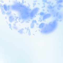 Dark blue flower petals falling down. Fancy romant