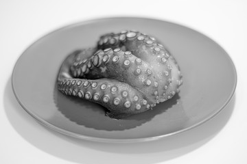 PULPO GALLEGO FRESCO 