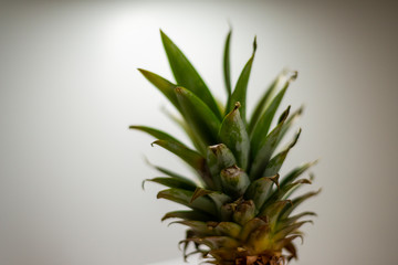 PIÑA FRUTA TROPICAL DETALLE