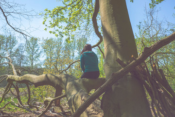 A young woman is sitting on a fallen tree