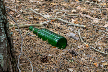 Glass bottle thrown in the forest, Ecology problem, nature pollution problem. Garbage in the forest. 