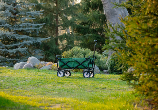 Stroller wagon in a garden in sunset time