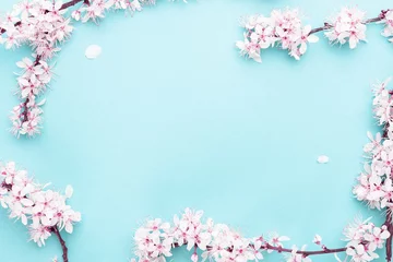 Fototapeten Sakura blossom flowers and may floral nature on blue background. For banner, branches of blossoming cherry against background. Dreamy romantic image, landscape panorama, copy space. © Maksym