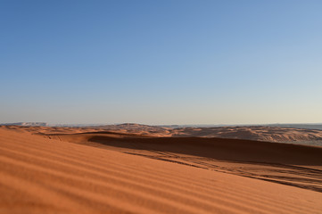 Fototapeta na wymiar Red sand in the Arabian desert and mountain top at the background (Tuwaiq). In Saudi Arabia near Riyadh (Mozahmeia area)