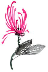 Red flower with leaves