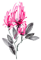 Red flower with leaves