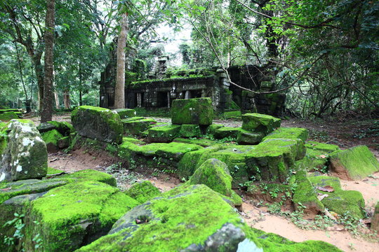 Ta Prohm the Bayon style is temple at Angkor, Siem Reap Province, Cambodia, and UNESCO inscribed Ta Prohm on the World Heritage List in 1992. 