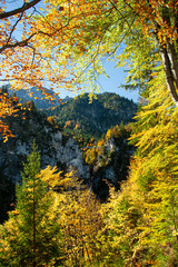 Sunny autumn day in Bavarian Alps, Germany