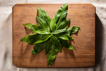 wild garlic or ramson on wooden cutting board, top view