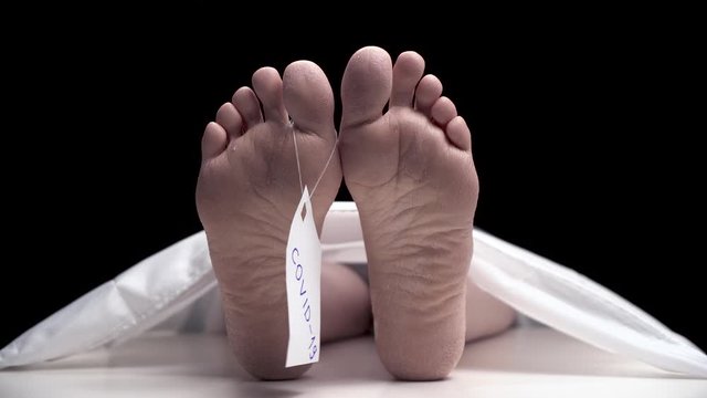 Pathologist in black gloves hangs tag with sign COVID-19 on foot of corpse. Finger move of zombie. legs of girl or guy who died from illness are in morgue under white blanket. Dry skin on the feet.