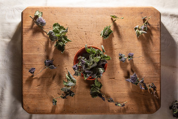 preparing for winter, dried herbs on wooden board