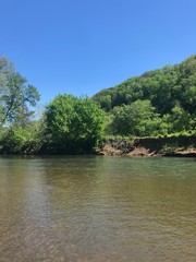 Fototapeta premium river in the forest