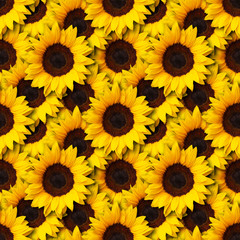 Fototapeta na wymiar sunflowers flowers seamless pattern design background. Can be tiled