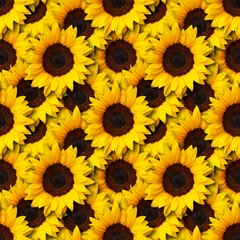 Foto op Plexiglas sunflowers flowers seamless pattern design background. Can be tiled © Sergio Hayashi