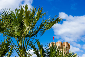 brown tower of  old fortress and palm leaves against  blue sky, background with  historical spanish...