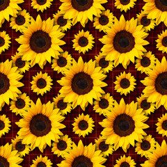 Fototapeta na wymiar sunflowers flowers seamless pattern design on textured red flannel plaid fabric seamless pattern background. Can be tiled
